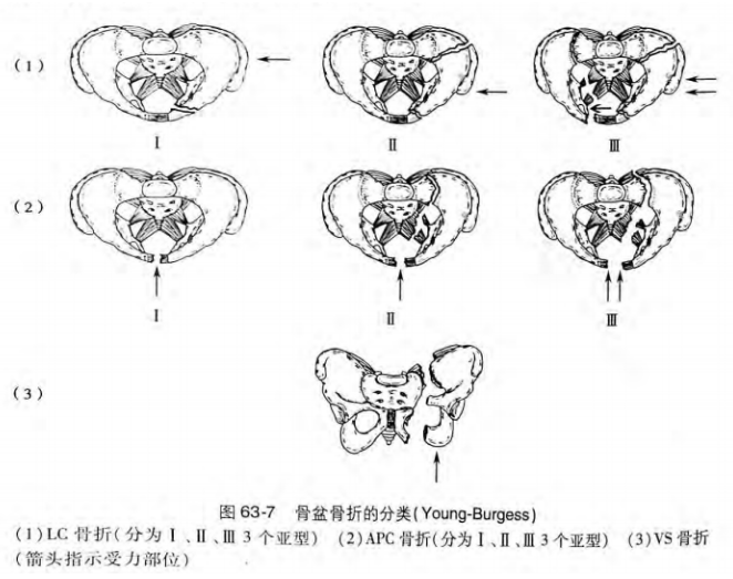 image-20200812133721159