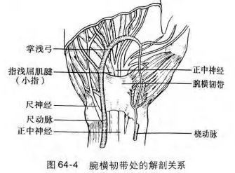 image-20200813141052494