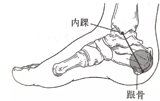 image-20200817143052232