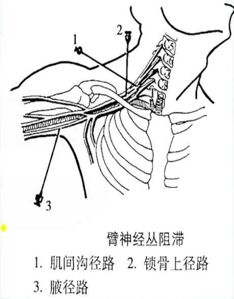 image-20200817164554674