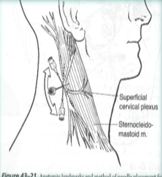 image-20200817165401601