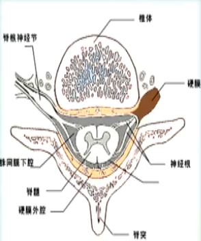image-20200817170552651