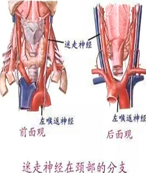 image-20200817173051997