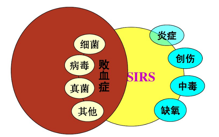 image-20200906103918553