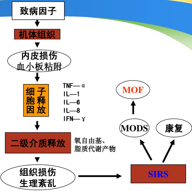 image-20200906105754596