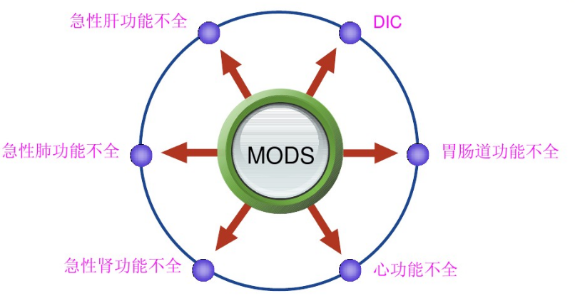 image-20200906110217853