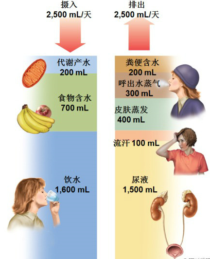 image-20201011014025801