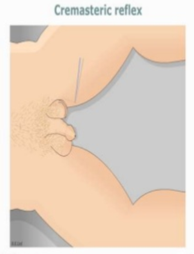 image-20201011134752477