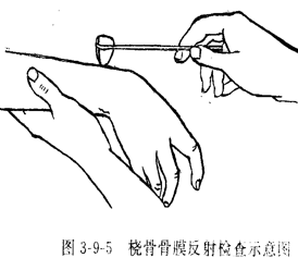image-20201011135223975