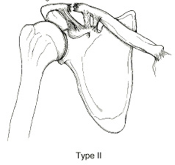 image-20201013200038581