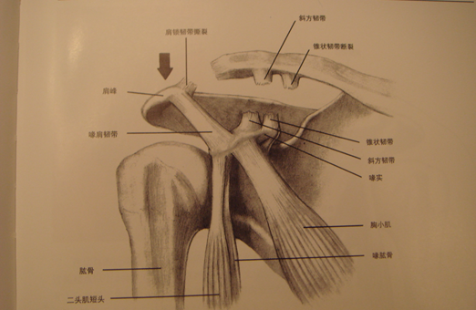 image-20201013200804996