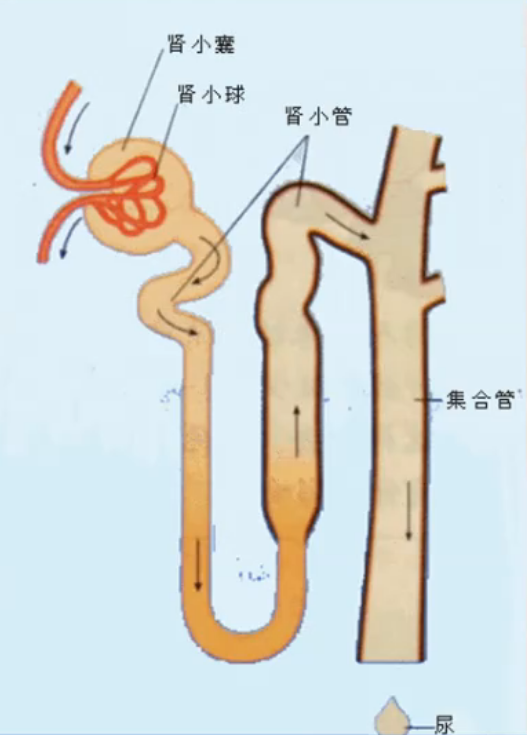 image-20201021205336631