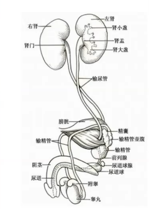 image-20201021205354860