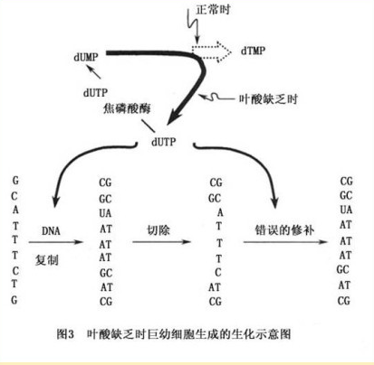 image-20201023001222632