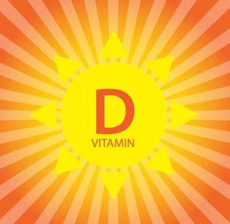 image-20201026065801631