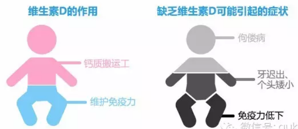 image-20201026120142390