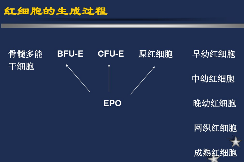 image-20201108101141722