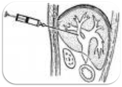 image-20201114083904463