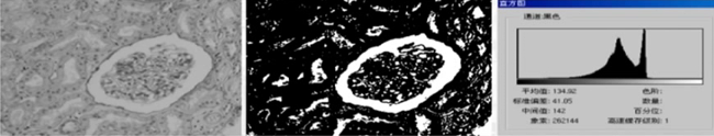 image-20201116052858462