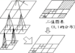 image-20201116060110067