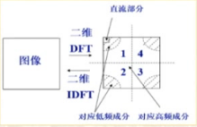 image-20201116063852941