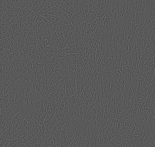 image-20201118184109684