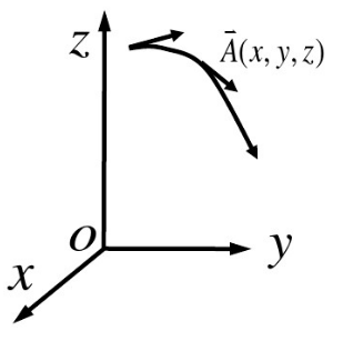image-20201119060746141