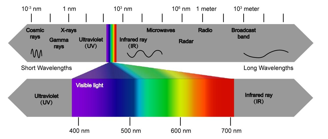 image-20201119220419641