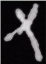 image-20201126182056346