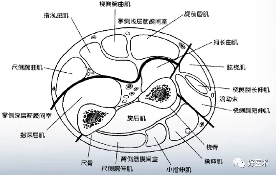 image-20201129071021295