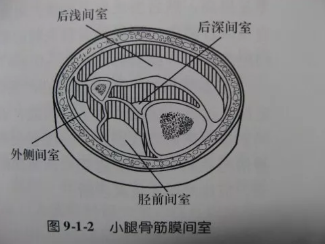 image-20201129071048879