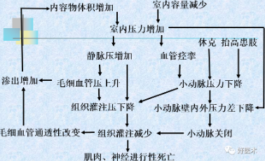 image-20201129084514406