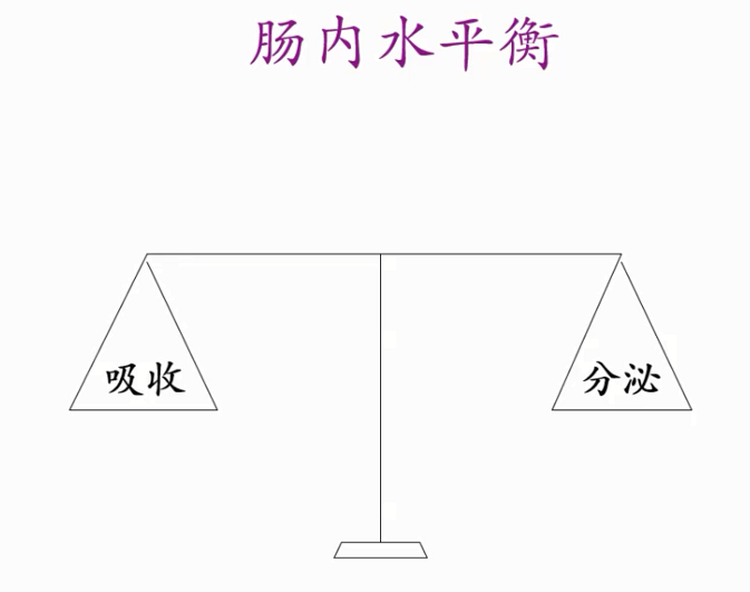 image-20201208122549445