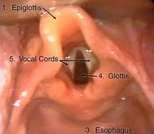 image-20201209215129639