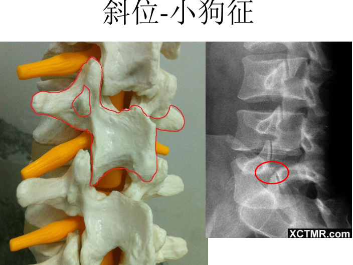 image-20201217145233516