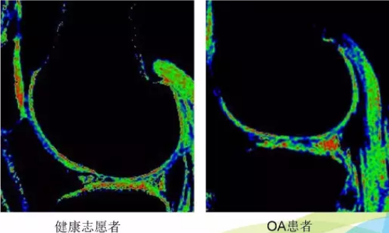 image-20201219084549954