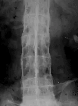 image-20201226130711760
