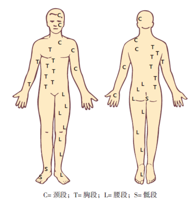 image-20210116002724462
