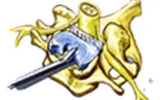 image-20210118190328808