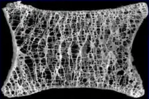 image-20210118193615233
