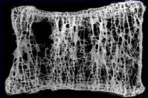 image-20210118193625805