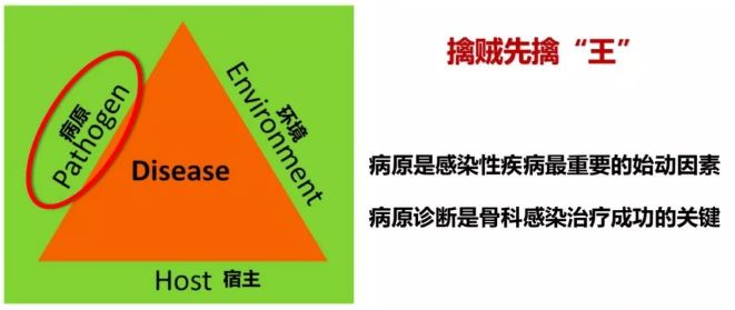 image-20210129144439824