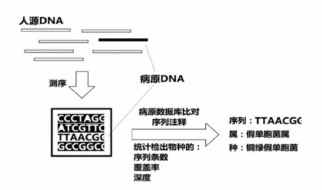 image-20210129145244512