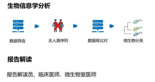 image-20210129150730996