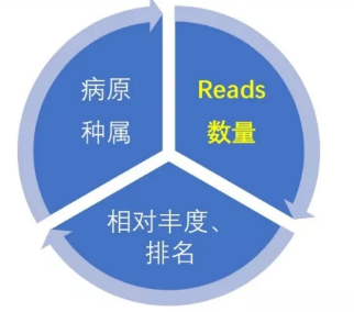 image-20210129151632454