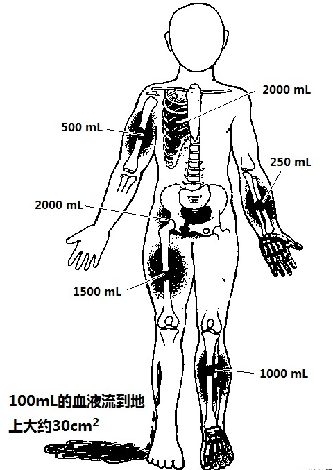 image-20210504134723595