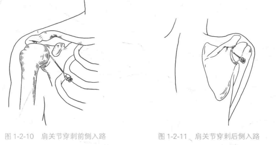 image-20220419070344931