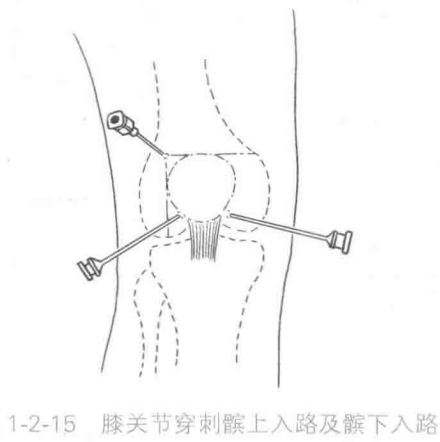 image-20220419070809307