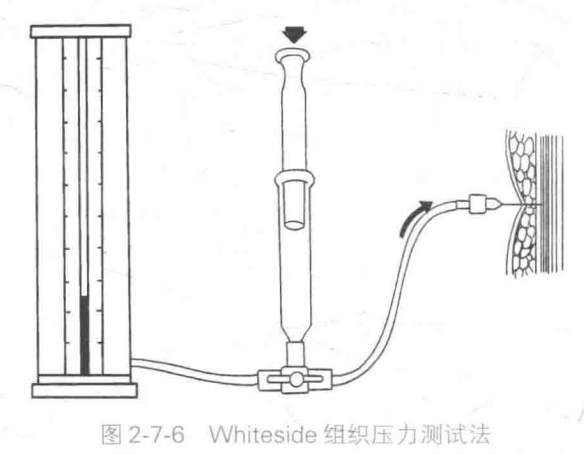 image-20220424064244111