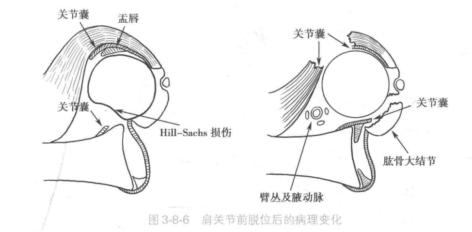 image-20220426133209141
